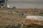 4253IMG_8892.JPG