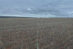 52238AGR_WA_ 044A_L1.jpg
