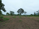 18623P1000461.JPG
