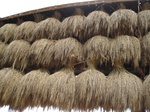 15867IMG_4409.JPG