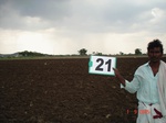 6152021a-rainfed-rabi-mixed-crop-tobacco-groundnut-millet.jpg