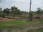 34436IMG_5419.JPG