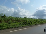 25452P1020297.JPG