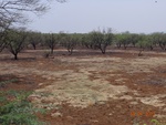 51879Tank ID 1800245 Mydanahalli.JPG