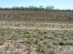 29237ARNE20110505E.JPG