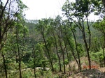 53270CIMG6523.JPG