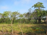31810IMG_5390.JPG