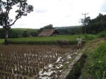 15474IMG_4543.JPG