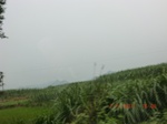 32669CIMG1798.JPG
