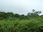 25899P1020318.JPG
