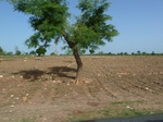 19341P1010187.JPG