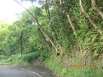 36371CIMG3580.JPG