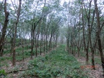 52972CIMG4024_调整大小.JPG