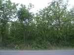 28224RIMG0223.JPG