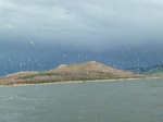 24028P1050403.JPG