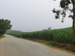 33161CIMG2398.JPG