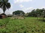 46452CIMG0741.JPG
