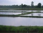 34582RIMG0048.JPG
