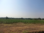 56345CIMG7200.JPG