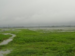 22094DSC00335.JPG