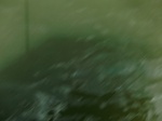 58211CIMG2658.JPG