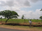 7915gt112b_cropland_mixedcrops.jpg