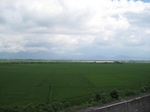 16423IMG_5208.JPG