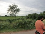 55956CIMG6688.JPG