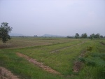 28228RIMG0227.JPG