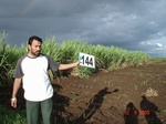 125330144c-irrigated-supplemental-groundwater-sugarcane.gif
