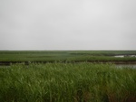 54482DSCN1763.JPG