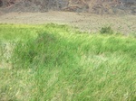 37073CIMG0870.JPG