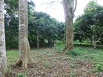 51206CIMG0760.JPG