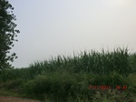 32819CIMG1951.JPG