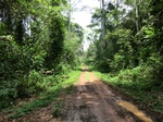 46357CIMG0646.JPG