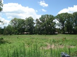 32460p124.jpg