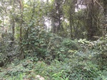 46649DSC01982.JPG