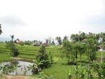 13791IMG_4054.JPG