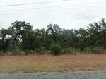 35795DSC02557.JPG