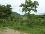 18594P1000431.JPG