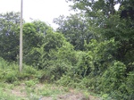 850R0015388.jpg