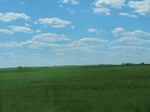 29017CIMG0716.JPG