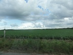 24824DSC00993.JPG