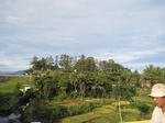 14627IMG_5006.JPG