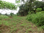 45781CIMG2866.JPG