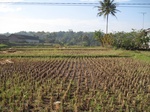 13932IMG_4221.JPG