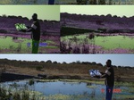 11100gt-202-wetland-flood-plain-02.jpg