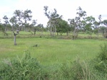 33415RIMG0155.JPG