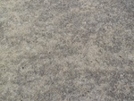 22772P1010988.JPG