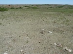 29252CHEY20110505E.JPG